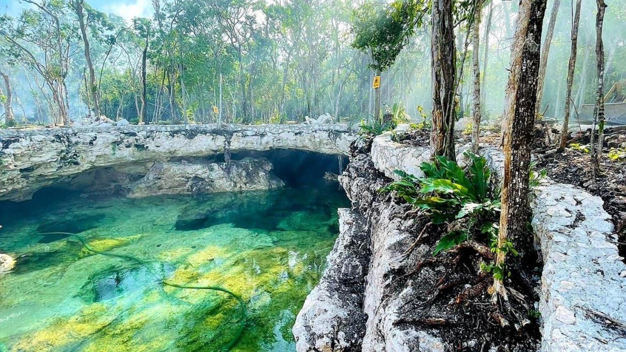 Tiny House En La Selva Con Cenote Natural Privado Tulum Eksteriør bilde