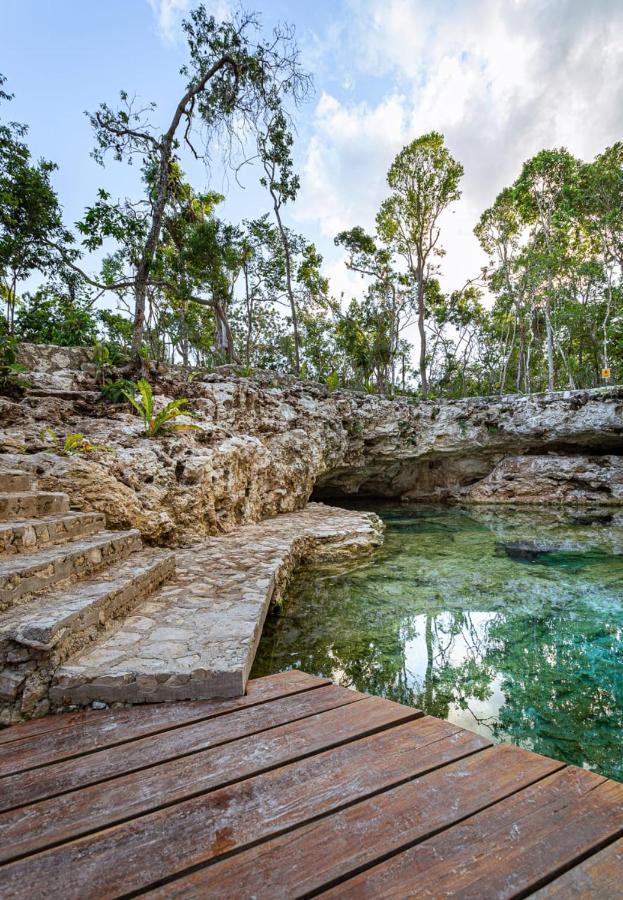 Tiny House En La Selva Con Cenote Natural Privado Tulum Eksteriør bilde